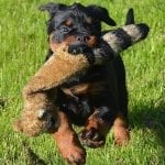 179386_241116405999168_2045322555_n