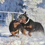 208419_544693052215410_606012343_n