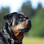 292315_456832197668163_1567768922_n