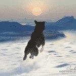 317974_538547052830010_869903157_n