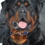 375779_522490741131237_1687375557_n