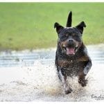 395059_512177352133647_847244555_n