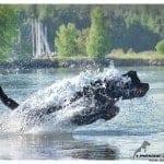 403437_508048605879855_1656896863_n