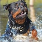 577702_234758609968281_607146536_n