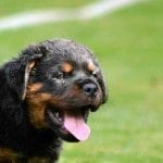 644429_429860510435777_1582844245_n