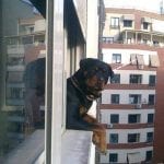 970655_560418964005081_770866384_n