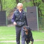 MORITZ Schutzhund III Male Rottweiler.jpg 2