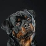 1000685_553095688070742_711117091_n