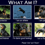 1001098_620105514676781_949390233_n