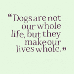 10581-dogs-are-not-our-whole-life-but-they-make-our-lives-whole_380x280_width