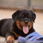 1098288_551544571578129_353249075_n