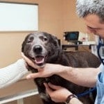 1175201_664713436885755_1654211837_n