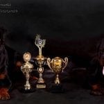 1185122_409945312444260_564681137_n