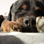 1236278_630599243627408_7889473_n