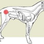 20081110_162112498801