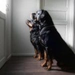 23743_144480859040399_1907859936_n