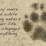 305071_440675672672335_1535055004_n