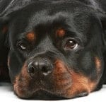 425201_672758566082981_1741930957_n