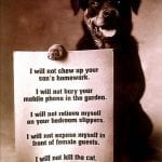 526979_1402212459996906_1914425894_n