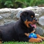 541793_332849703517085_1479063893_n