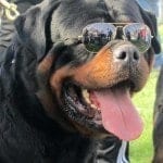 579614_488542687877471_461814860_n