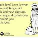 a1017edda9e0295da70e32aafb232501