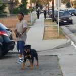 article-2353347-1A9CF6B6000005DC-516_634x340