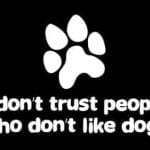 b352c79b2fbb264a2cdc1c1a96a09ac2