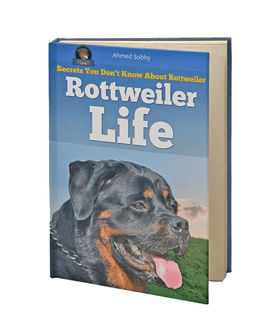 Rottweilercover2 Rottweiler Life