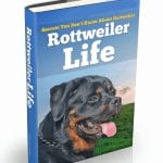 Rottweilercover2