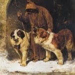 St._Bernards_-_To_The_Rescue_by_John_Emms_(artist)