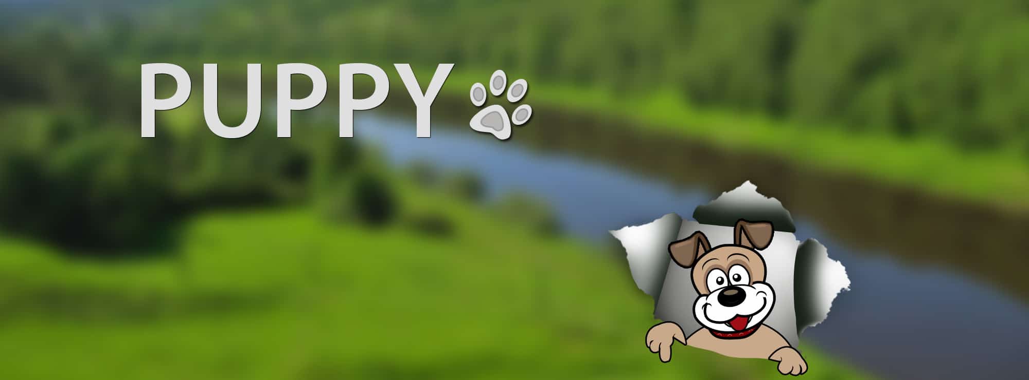 1617617_517503845028762_1804373047_o dog