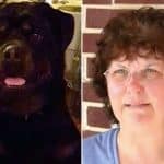 rottweiler-saves-woman-from-fire-1-768×480