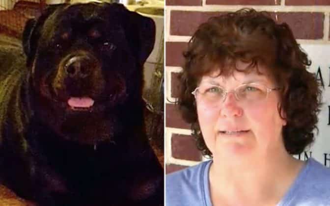 The Bravest Rottweiler Saves Family From Fire | Rottweiler Life