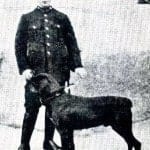 11056083_853042071411453_7458717411851968547_n