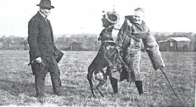 Rottweiler Training 