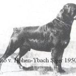 11903771_853041851411475_5226862510610164477_n