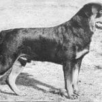 11903820_853042088078118_768264318557776553_n