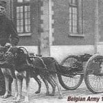 11903880_853041734744820_4109669805448861316_n