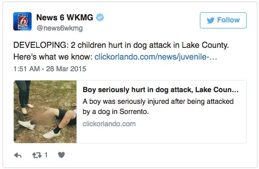 Rottweiler Saves Boy Rottweiler Saves Boy