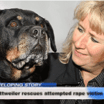 161013s221937-jessica-leeds-intv-anderson-cooper-ac-part-1-00061911-large-169