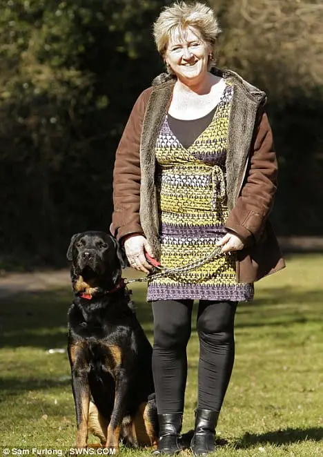 Standing tall: Jake with his owner Liz Maxted-Bluck. He chased off sex attacker Esmahil Adhami 