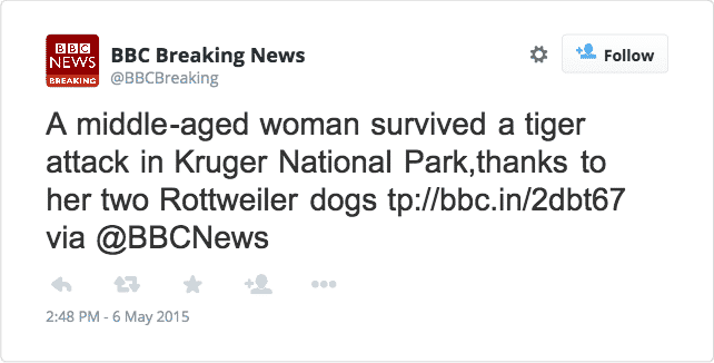 Rottweiler Saves A Woman From Tiger Attack Rottweiler saves a woman