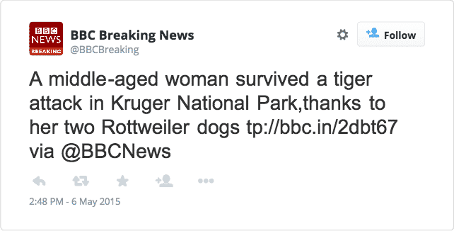 Rottweiler saves a woman