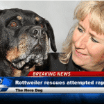 tt1013221937-jessica-leeds-intv-anderson-cooper-ac-part-1-00061911-large-169