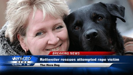 Jake the hero: Judge praises ROTTWEILER who stopped illegal immigrant from raping woman in park 8 Jake the hero: Judge praises ROTTWEILER who stopped illegal immigrant from raping woman in park
