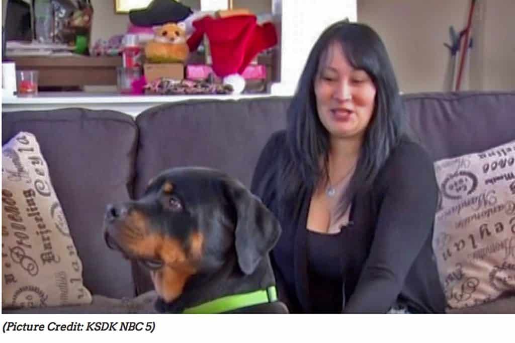Rottweiler Puppy saves woman from attacker in The Woodlands 1 rottweiler puppy