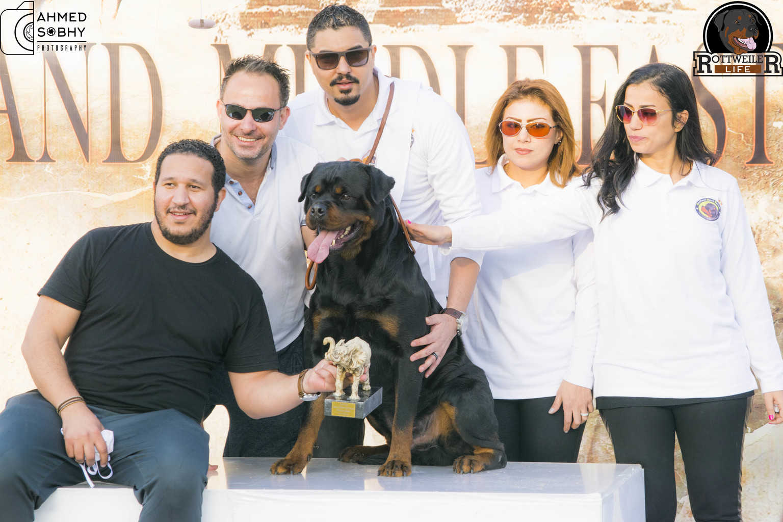 Take Your Well-Trained Rottweiler Anywhere Without A Care 6 Take Your Well-Trained Rottweiler Anywhere Without A Care