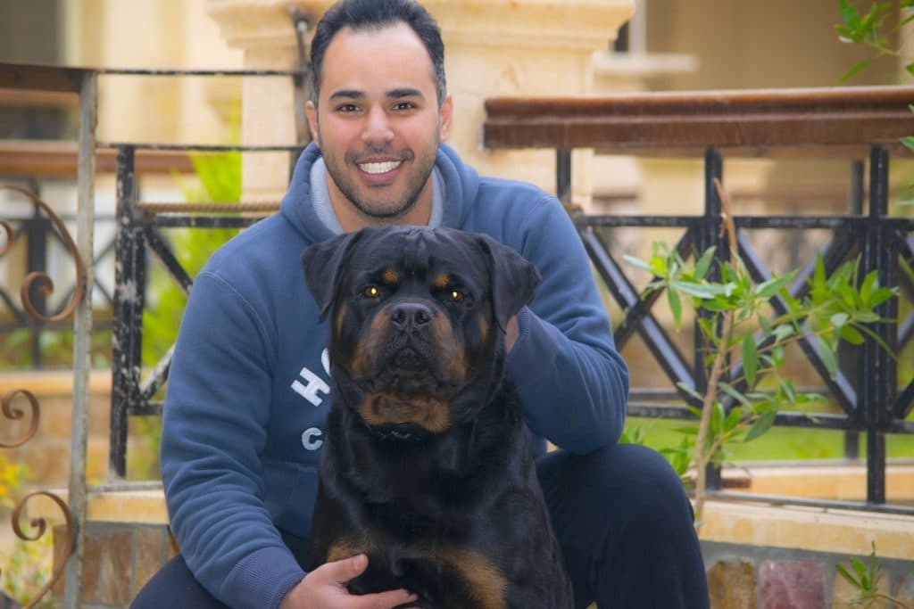 Can't Afford A Trainer? With These Tips You Can Train Your Rottweiler At Home! 2 rottweiler