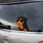 rottweiler car sticker